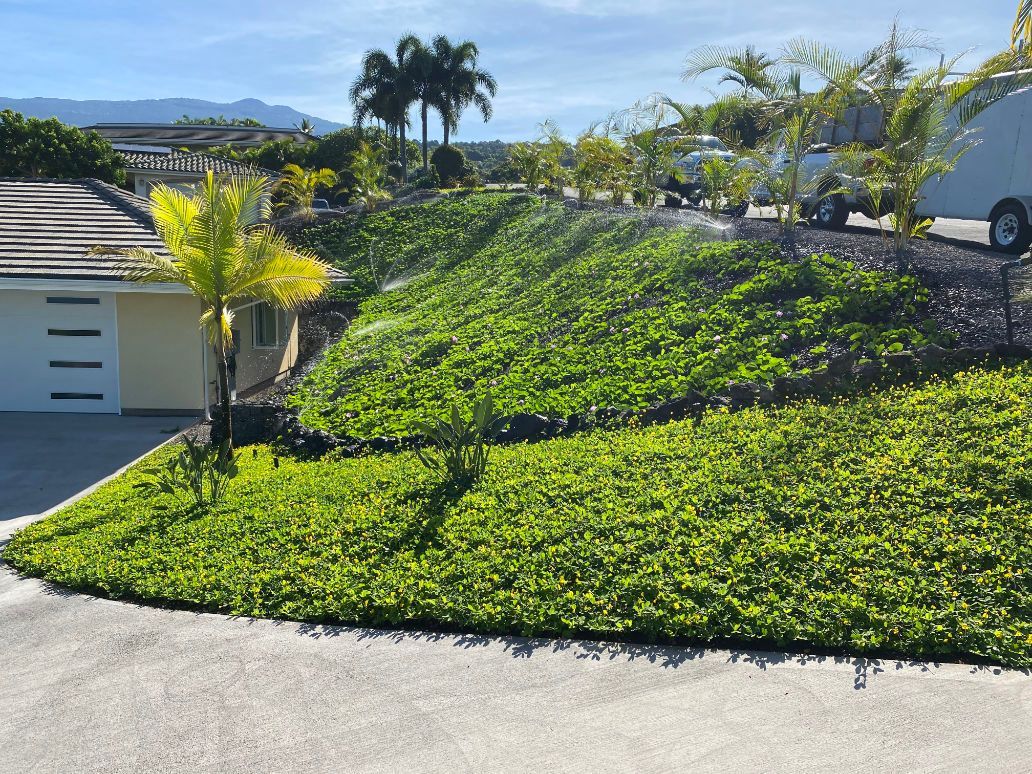 A white car is parked in front of a house surrounded by lush green plants showing a previous landscaping project. 