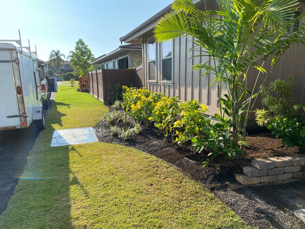 A house with a lot of plants in front of it showing landscape installation project. 