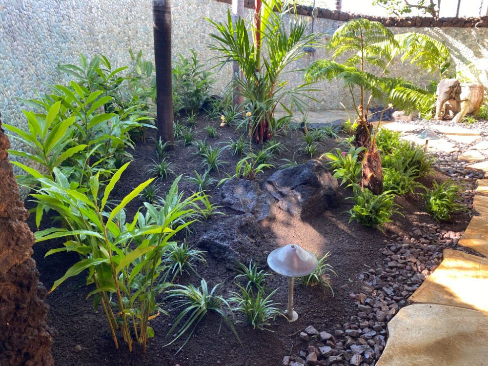 A garden filled with lots of plants and rocks showing landscape installation project. 