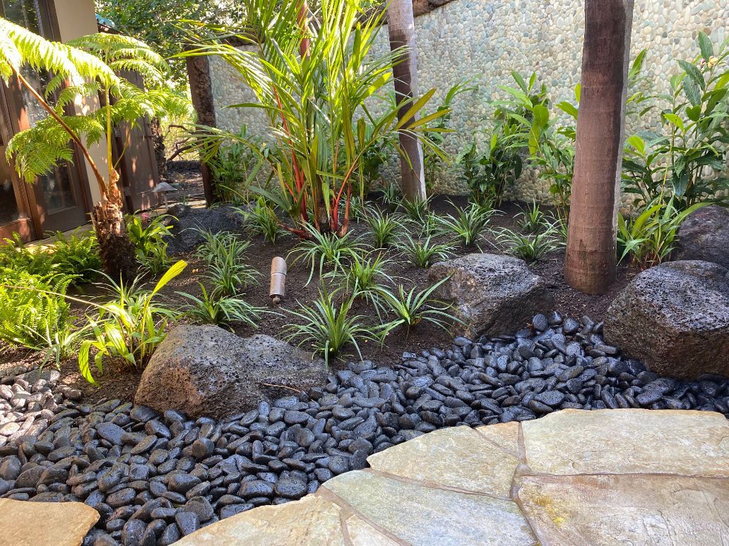 A garden filled with rocks , plants and trees showing landscape installation project. 