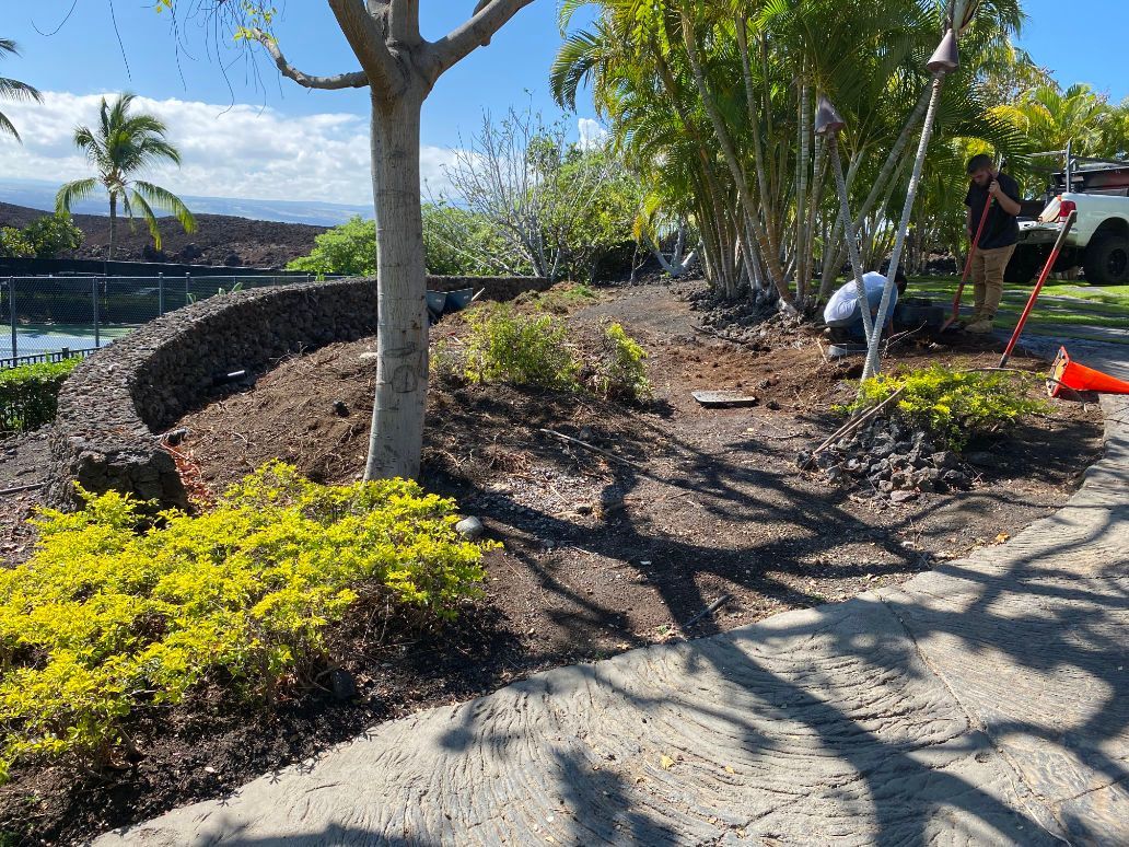 A group of people are working on a garden showing landscape installation project. 