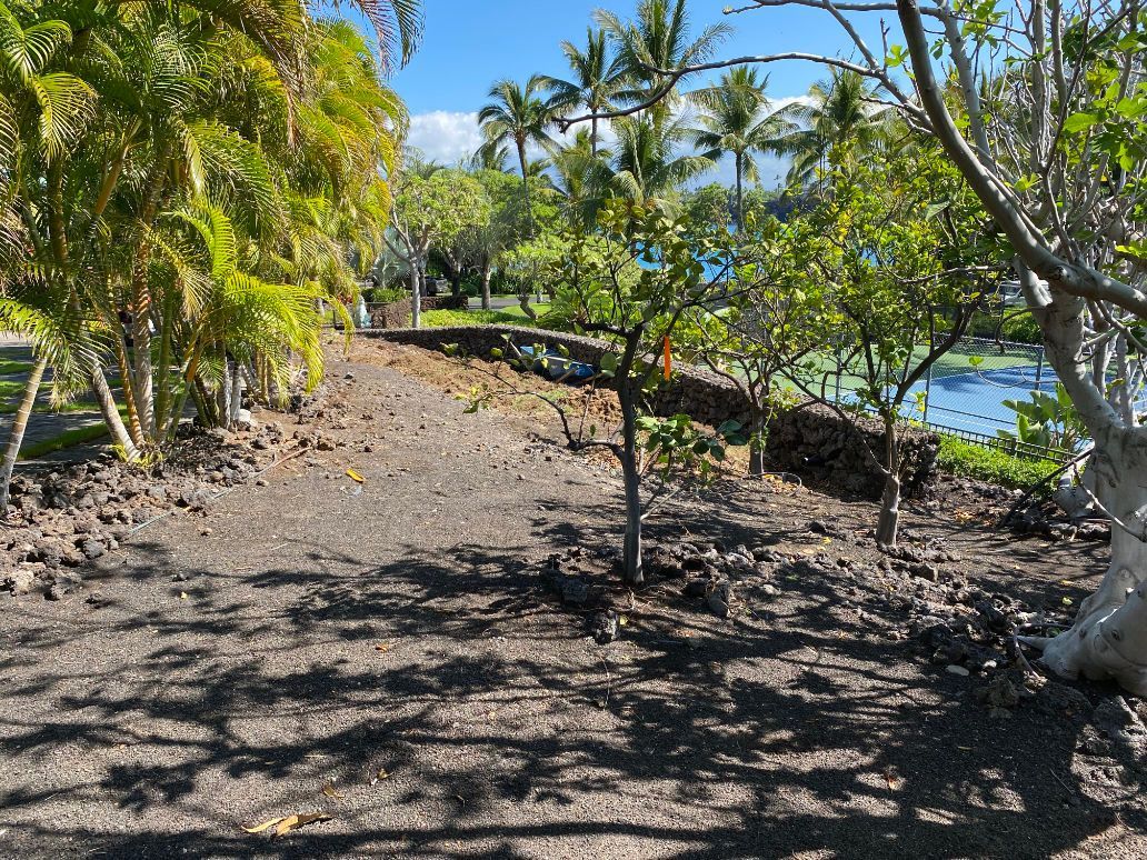A dirt road surrounded by trees and a body of water showing excavation services 
