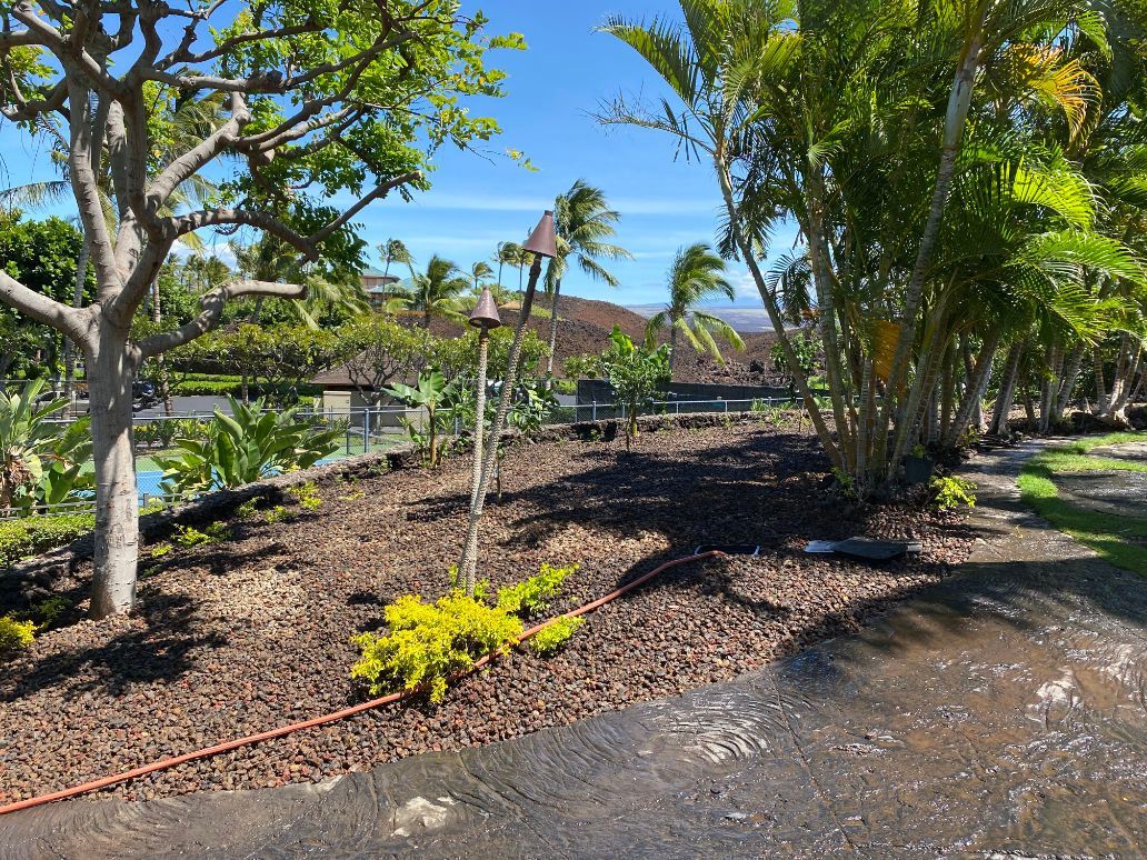 landscape installation project with lush green garden with trees and a hose in the foreground