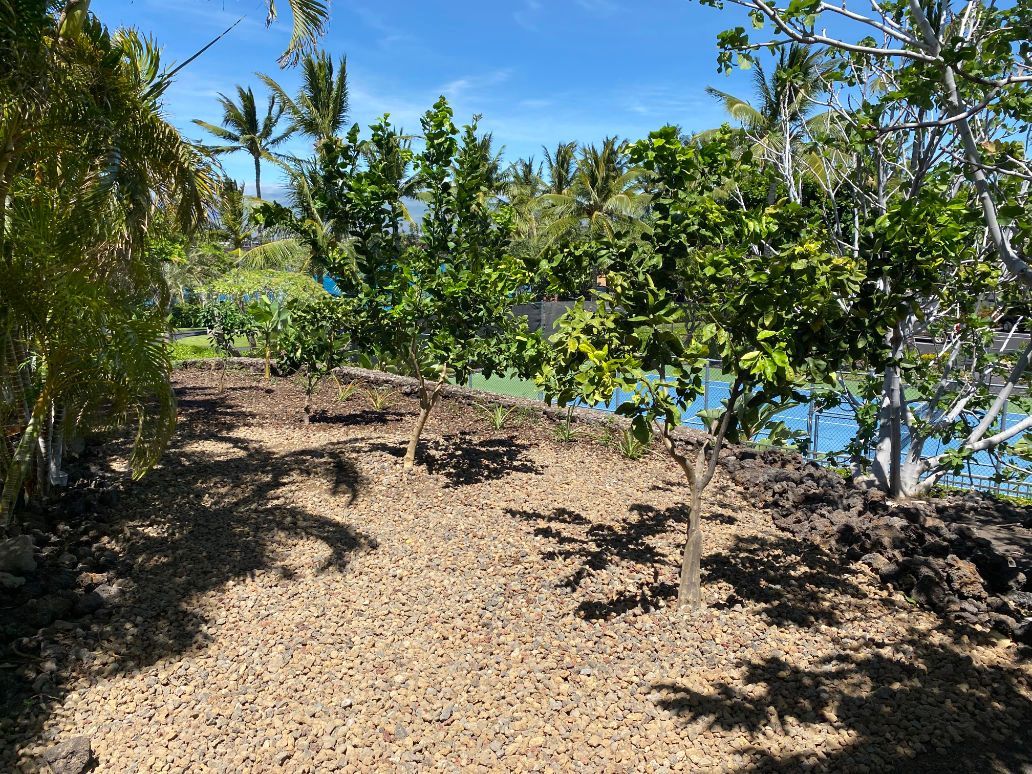 landscape installation project with a dirt path leading to a body of water surrounded by trees and bushes.