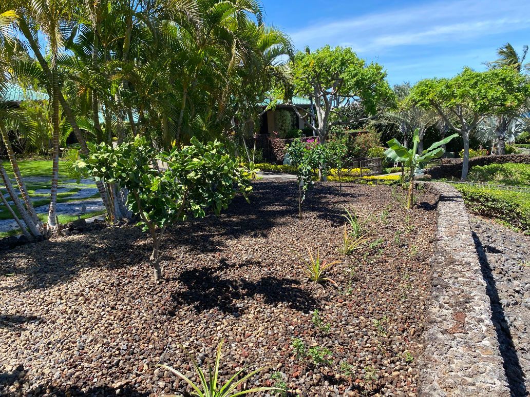 landscape installation project with a lush green garden filled with lots of plants and trees.