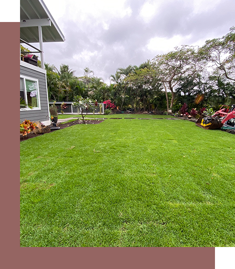 Lawn installation project showing a backyard with a green grass. 