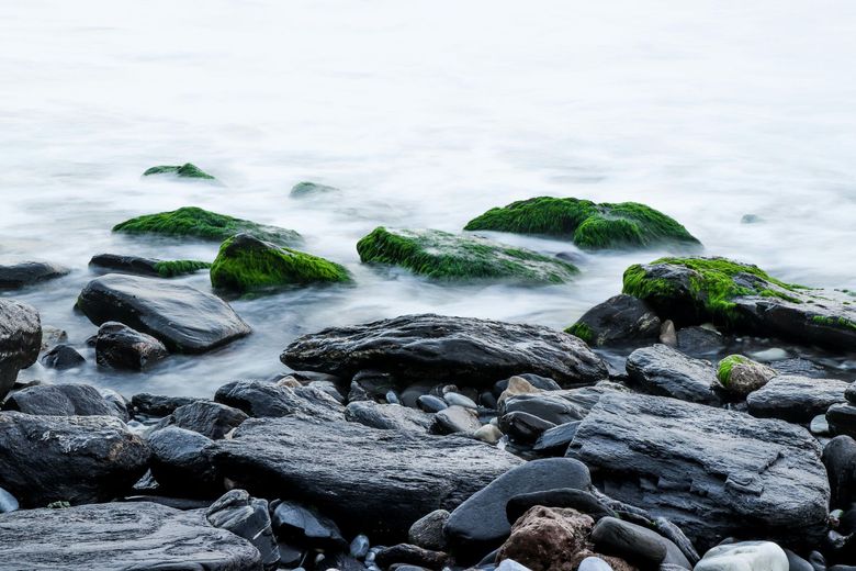 A long exposure photo of a rocky beach with seaweed on the rocks.