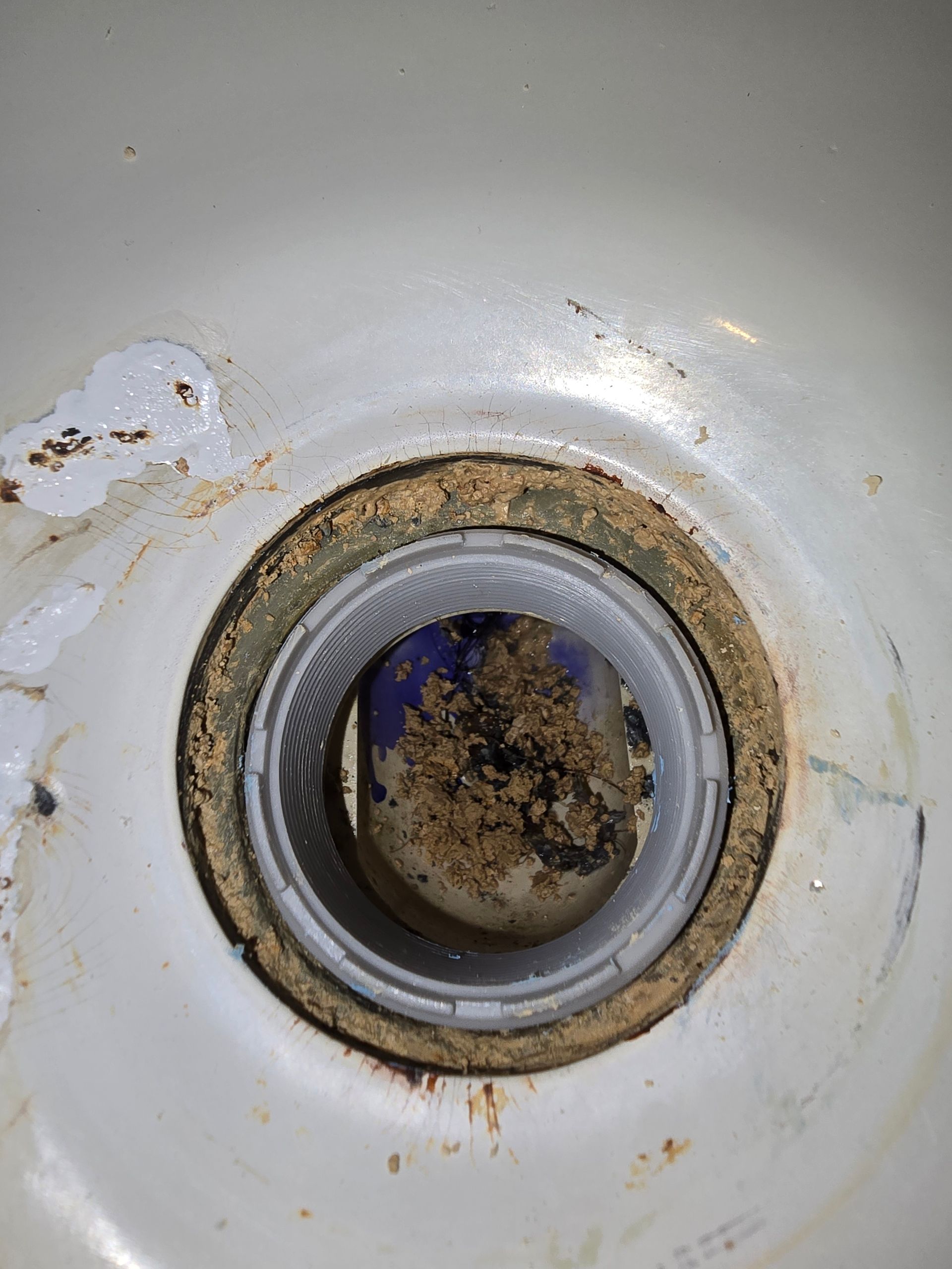 Close-up of a dirty sink drain with debris, surrounded by a rusty ring in a white sink.