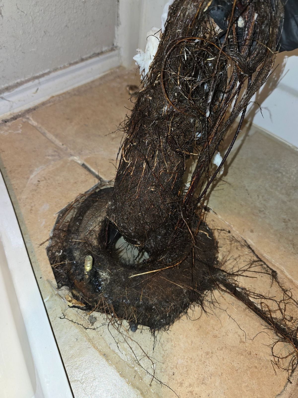 Clump of roots pulled from a drain. Dark, intertwined roots and debris on tile floor.