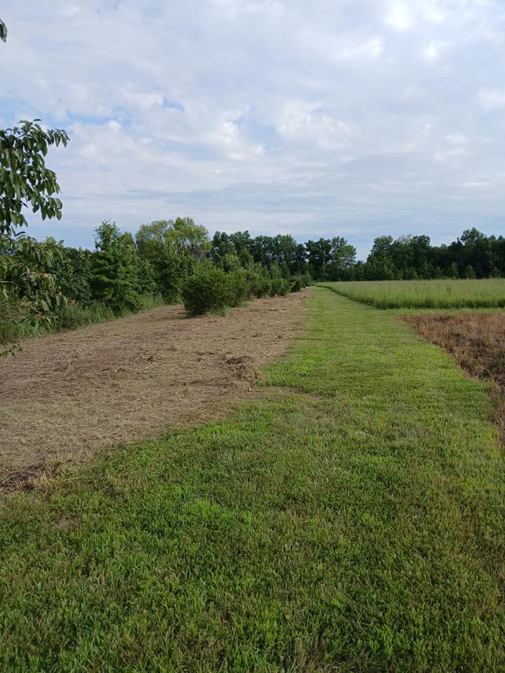 A field of grass and dirt with trees in the background