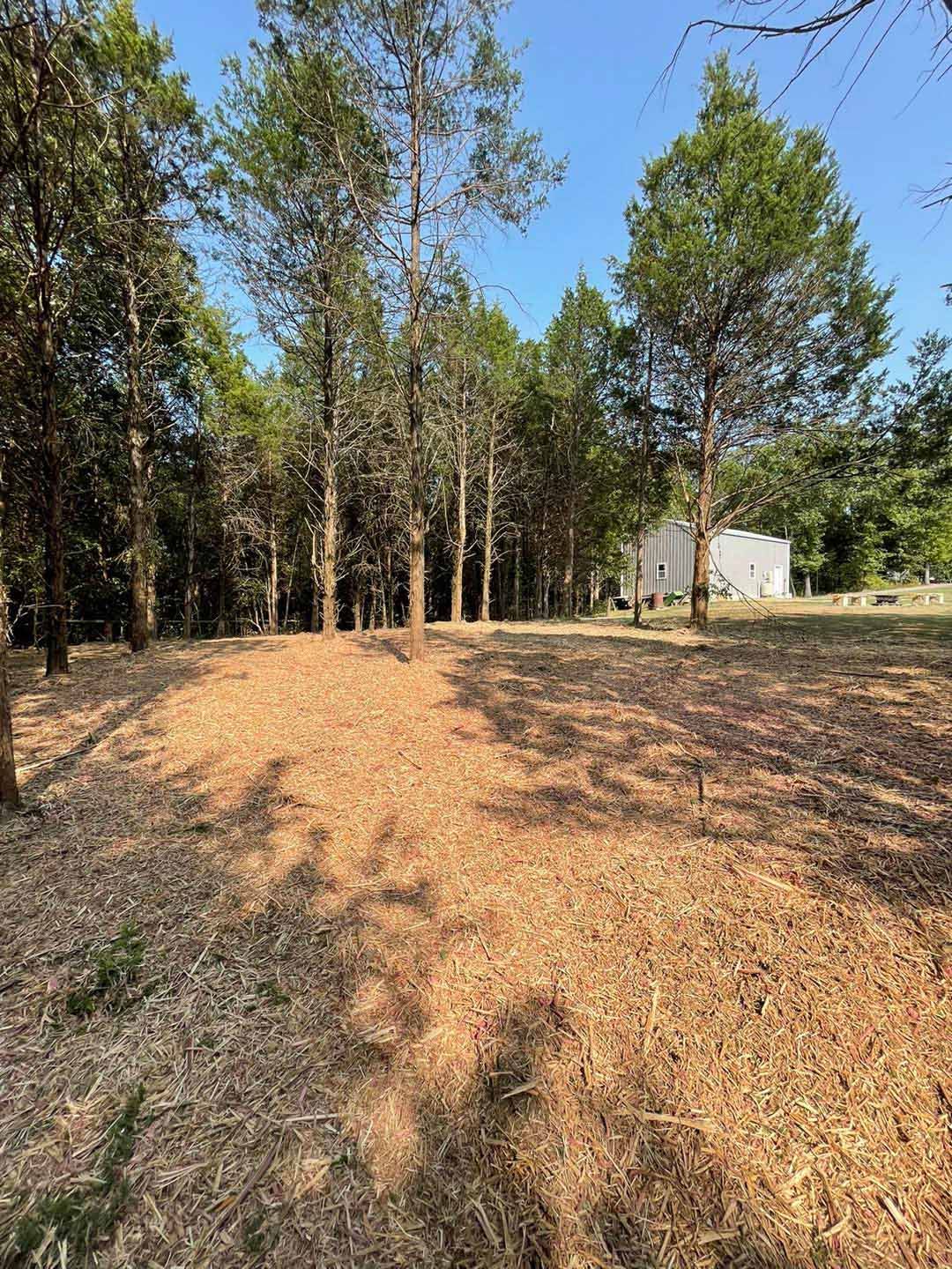 A field with trees and a white house in the background