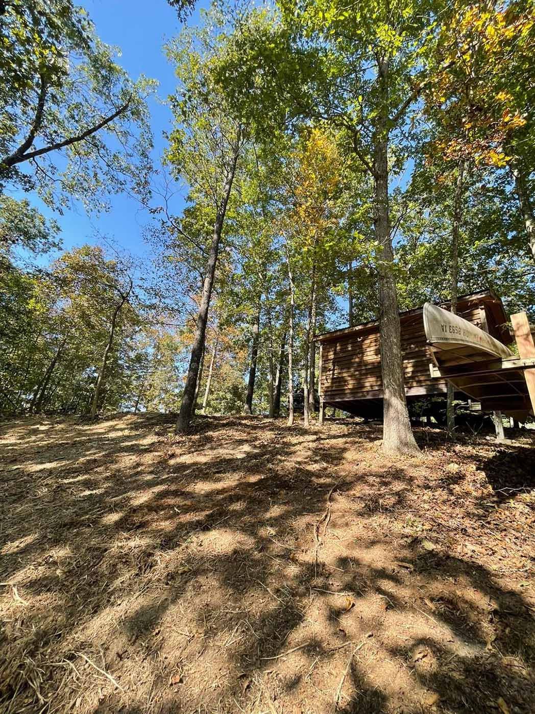 A house is sitting in the middle of a forest surrounded by trees
