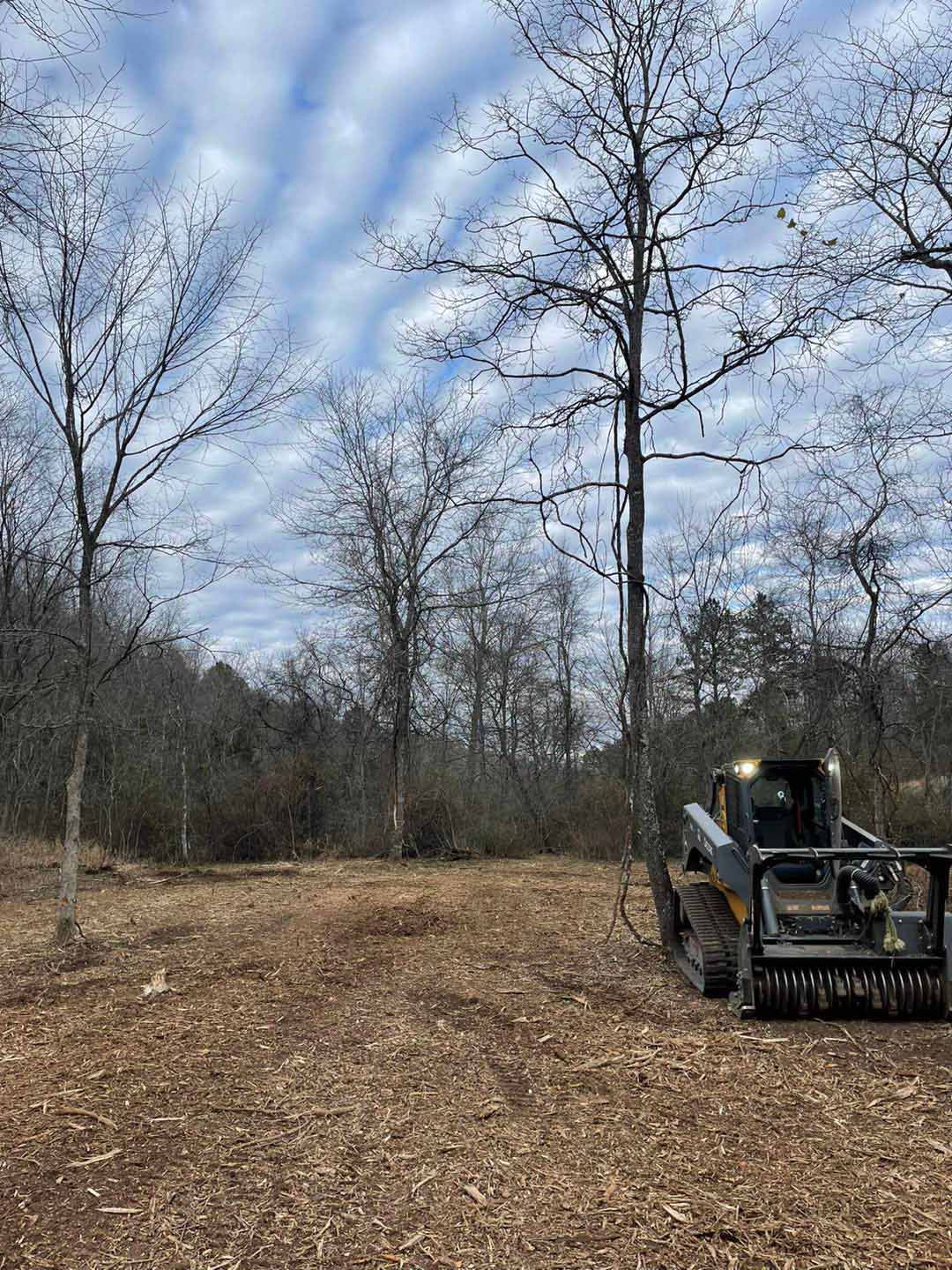 A bulldozer is sitting in the middle of a field surrounded by trees