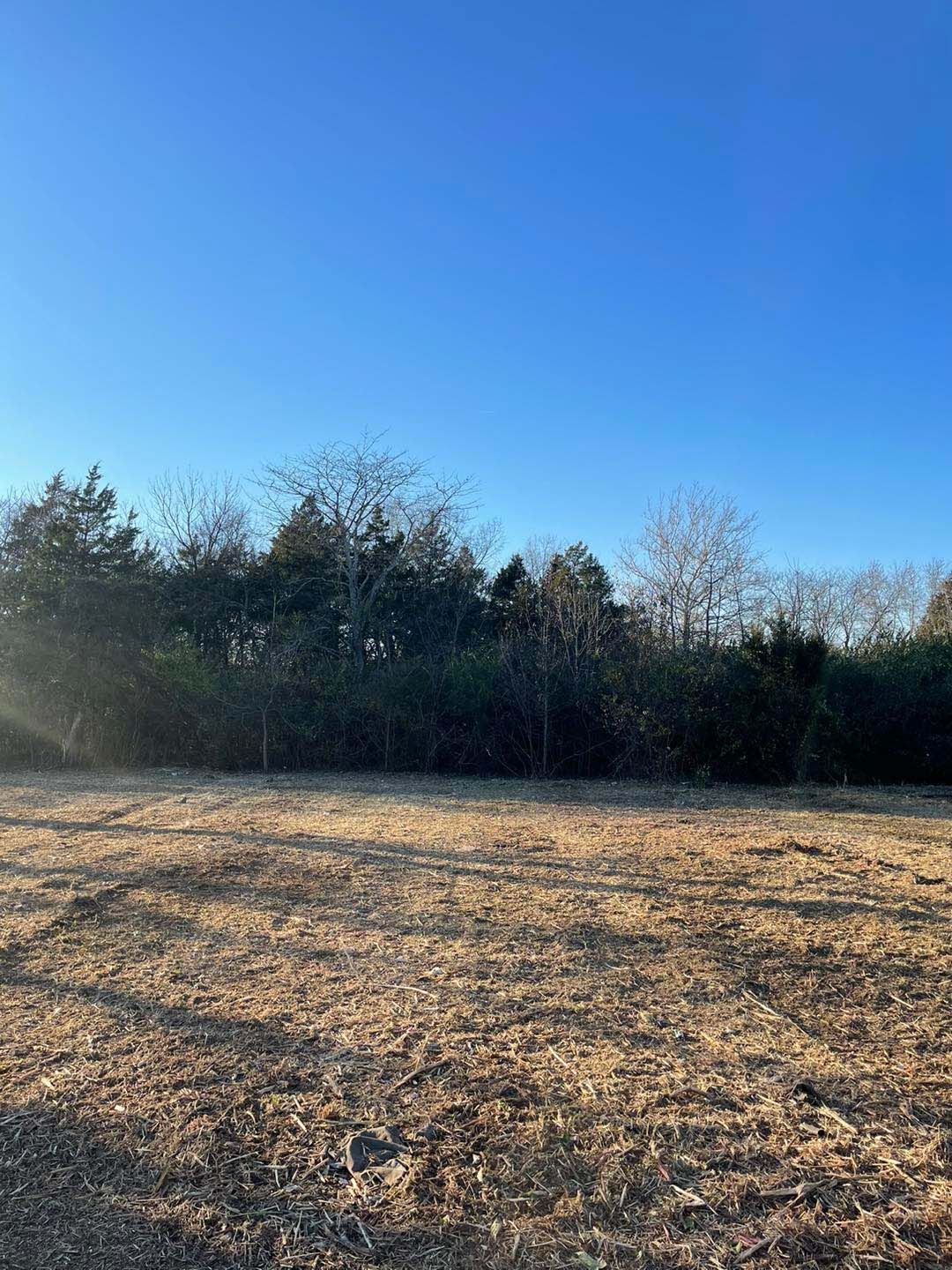 A field with trees in the background and a blue sky in the background