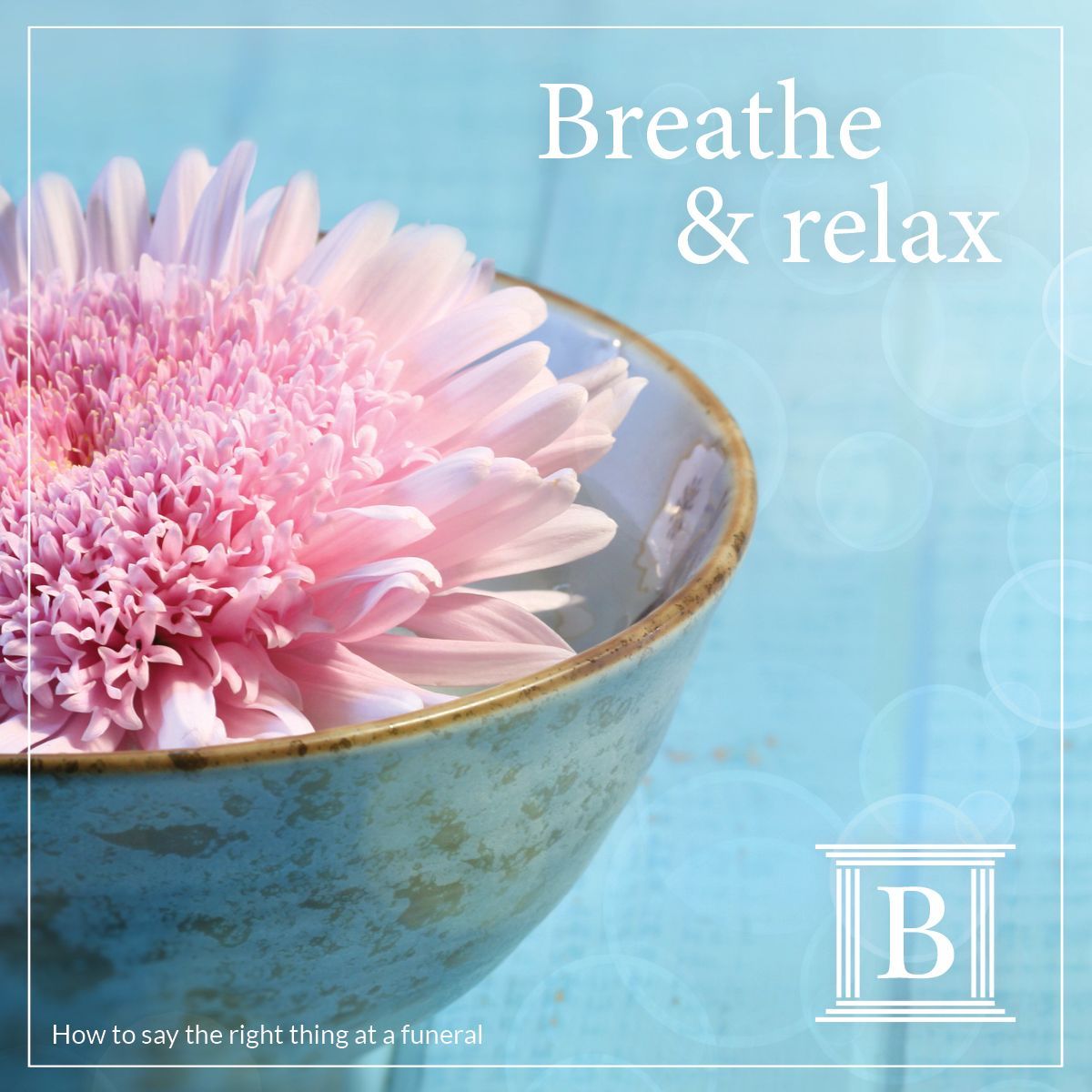 A pink flower in a bowl that says breathe & relax