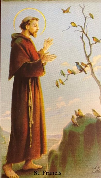 A painting of st. francis with birds on a tree branch