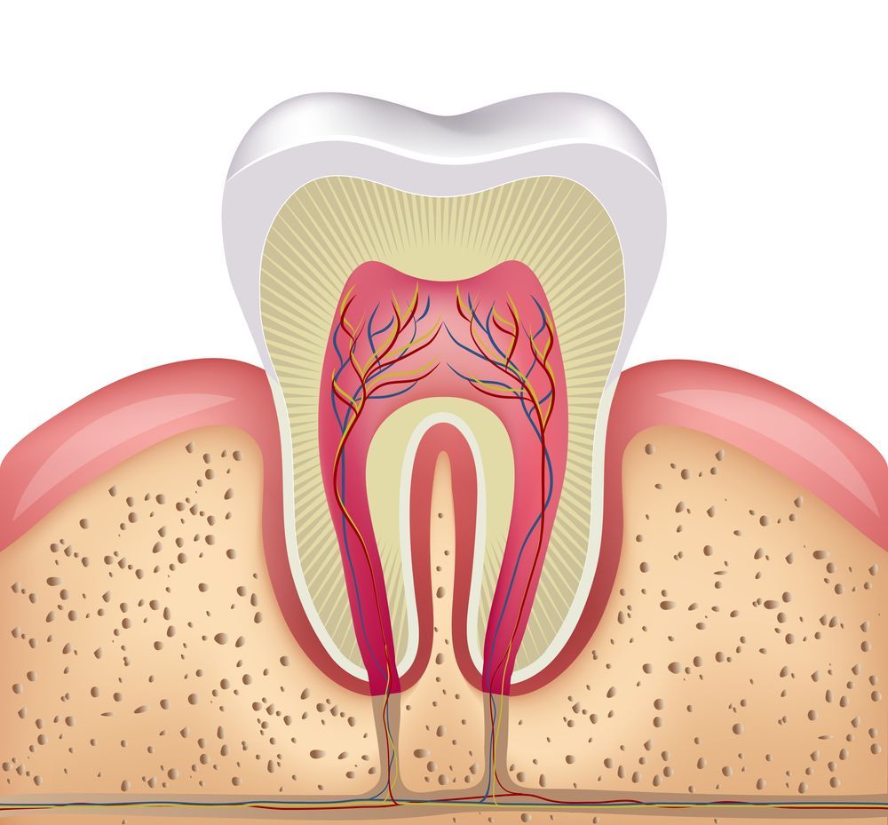 Root Canal Treatment in Babylon Long Island NY