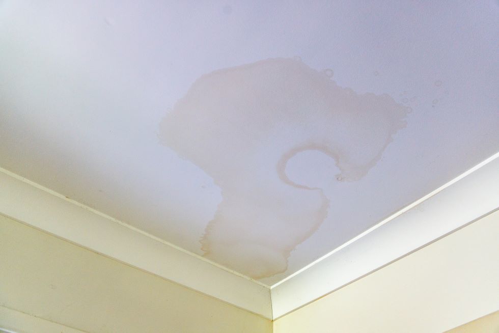 painting over water stain