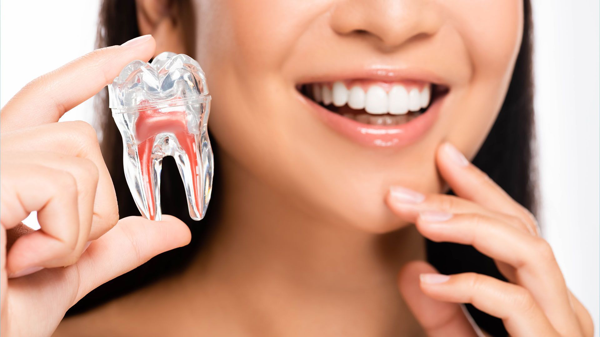 Woman holding a transparent model of a tooth, smiling, showing healthy white teeth.