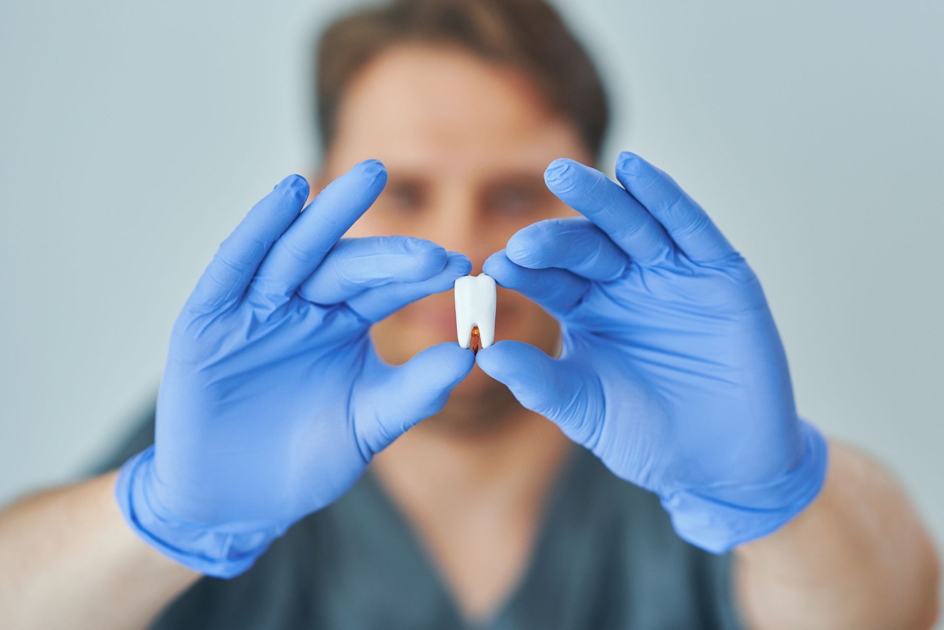 A dentist wearing blue gloves is holding a tooth in his hands.