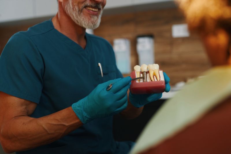 A dentist is talking to a patient while holding a model of teeth.