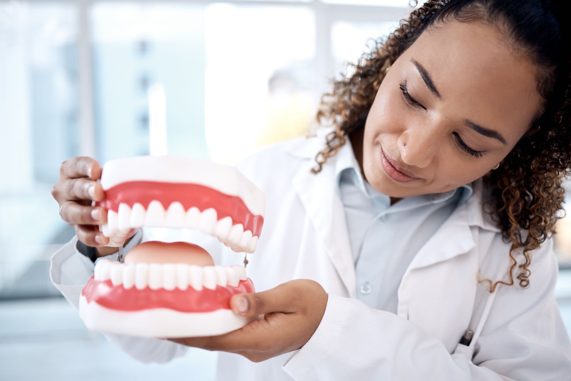 Dentist holding a model of teeth, explaining dental anatomy.