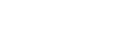 Flyguy-Transfer-logo