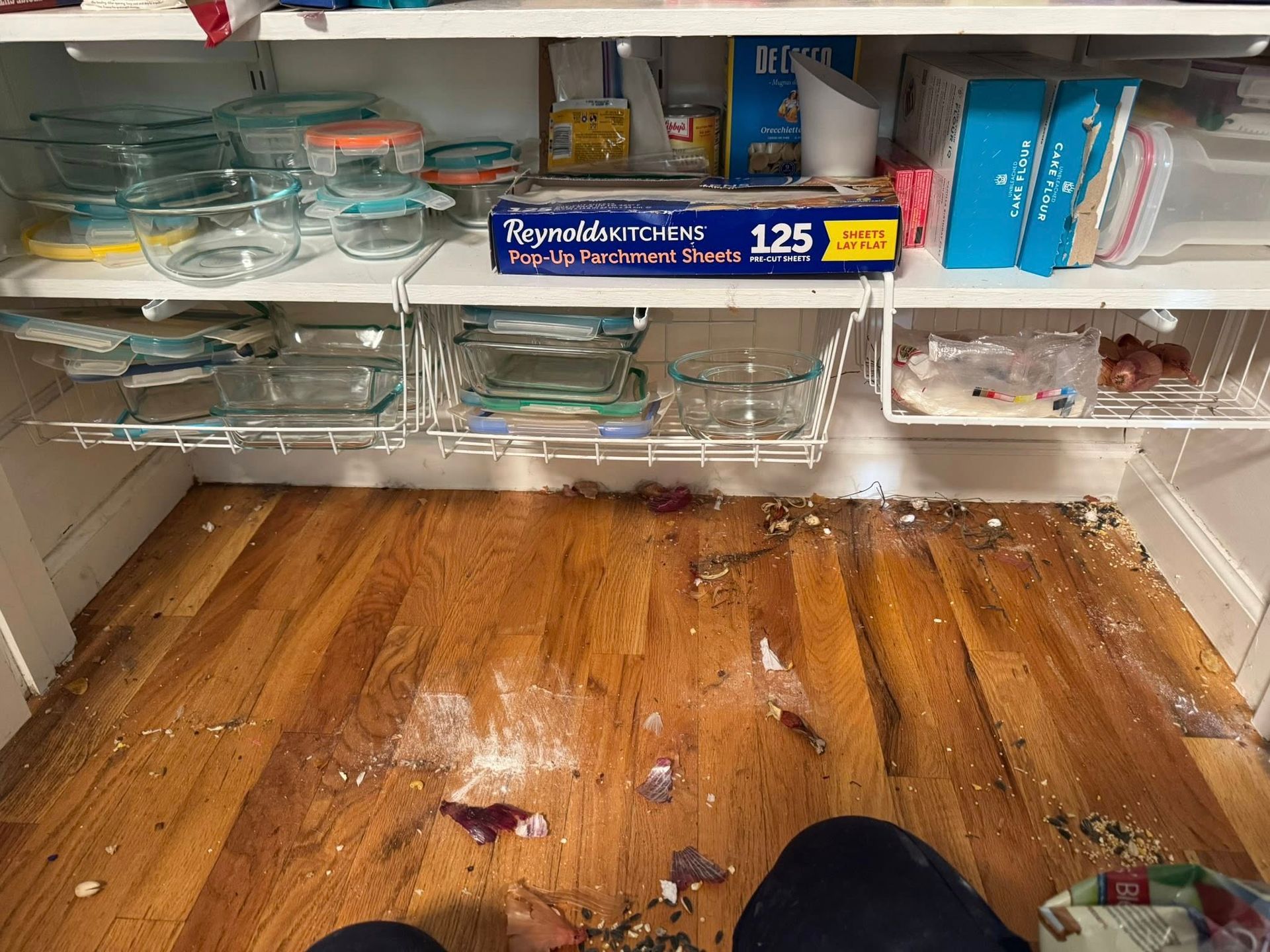 Pantry with broken glass, food debris, and spilled ingredients on the wood floor.