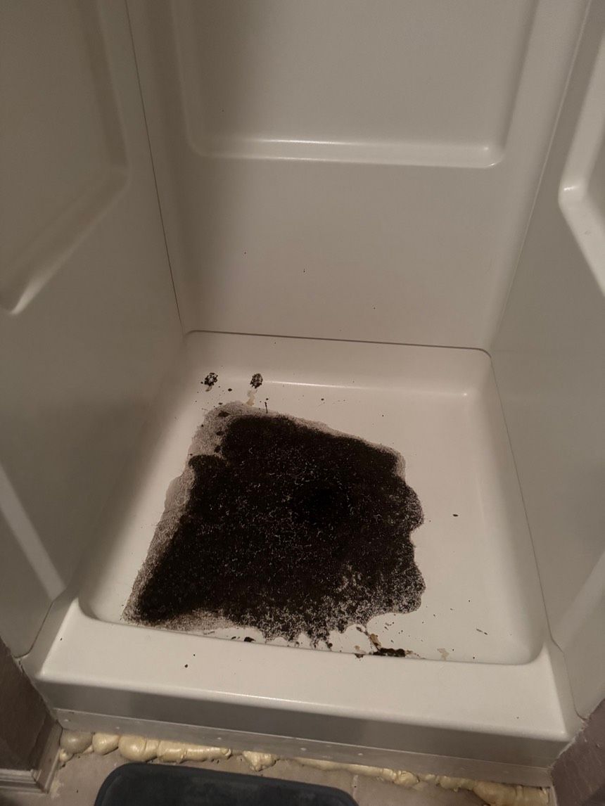 Black mold and debris in a white shower stall.