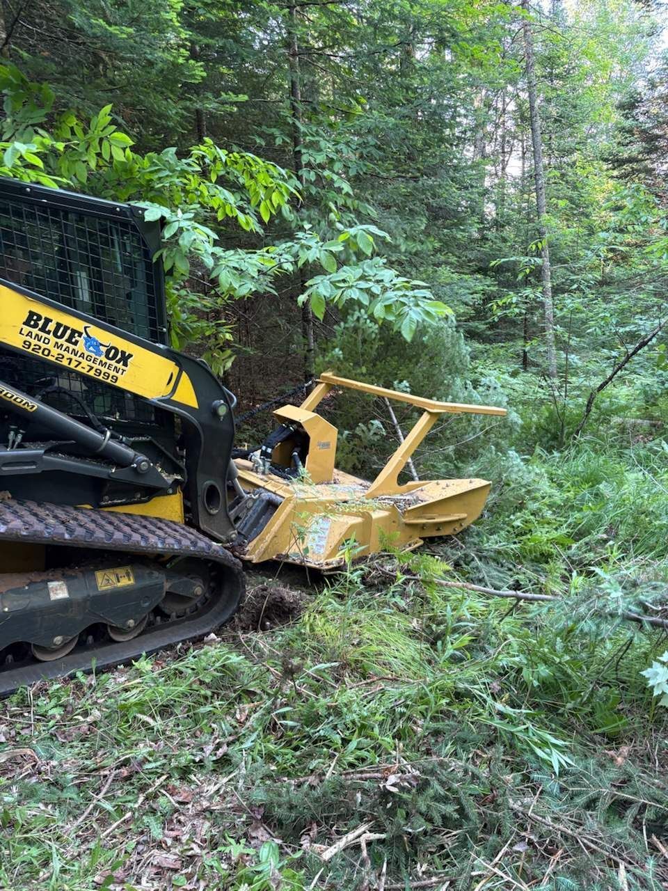 Yellow skid steer with brush cutter clearing brush in a wooded area.