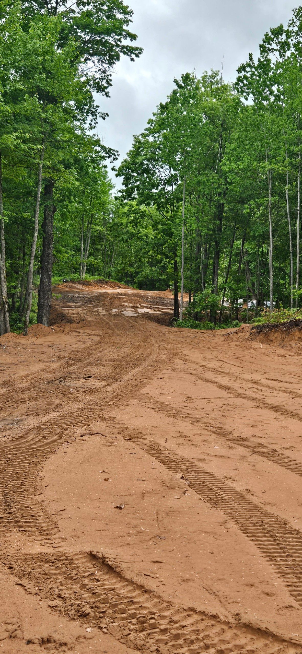 Dirt road leading through trees under an overcast sky. Tire tracks in the mud.