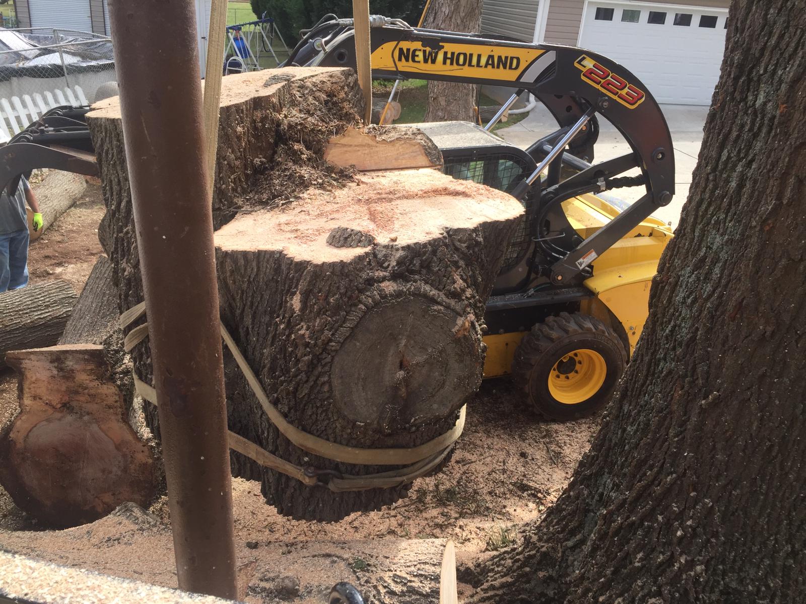 Crane service lifting tree trunk in Salisbury, NC