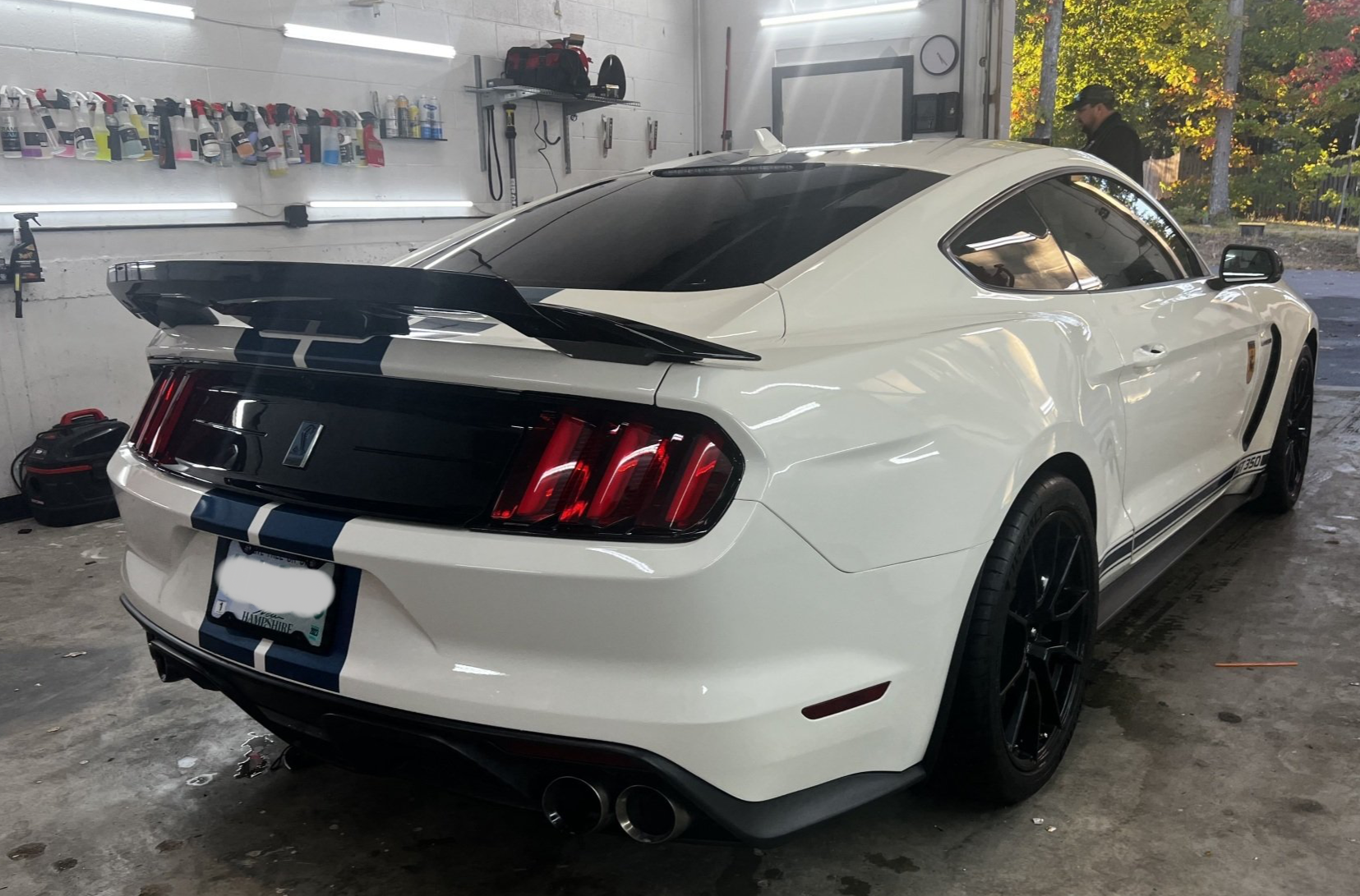 mustang, exterior detail, Wicked Clean Cah, Merrimack, auto detail