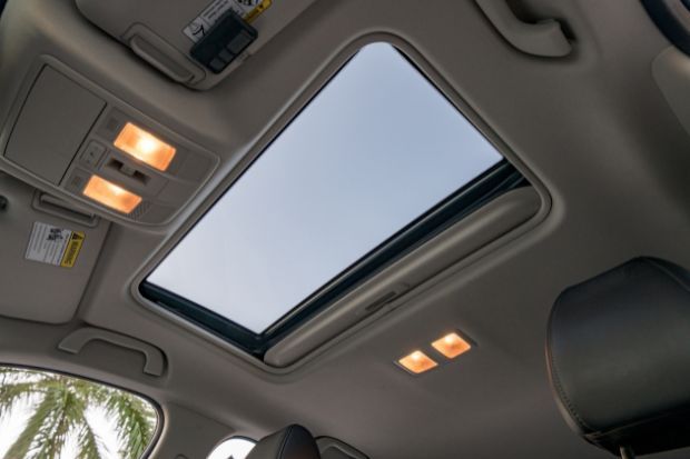 The sunroof of a car with a palm tree in the background