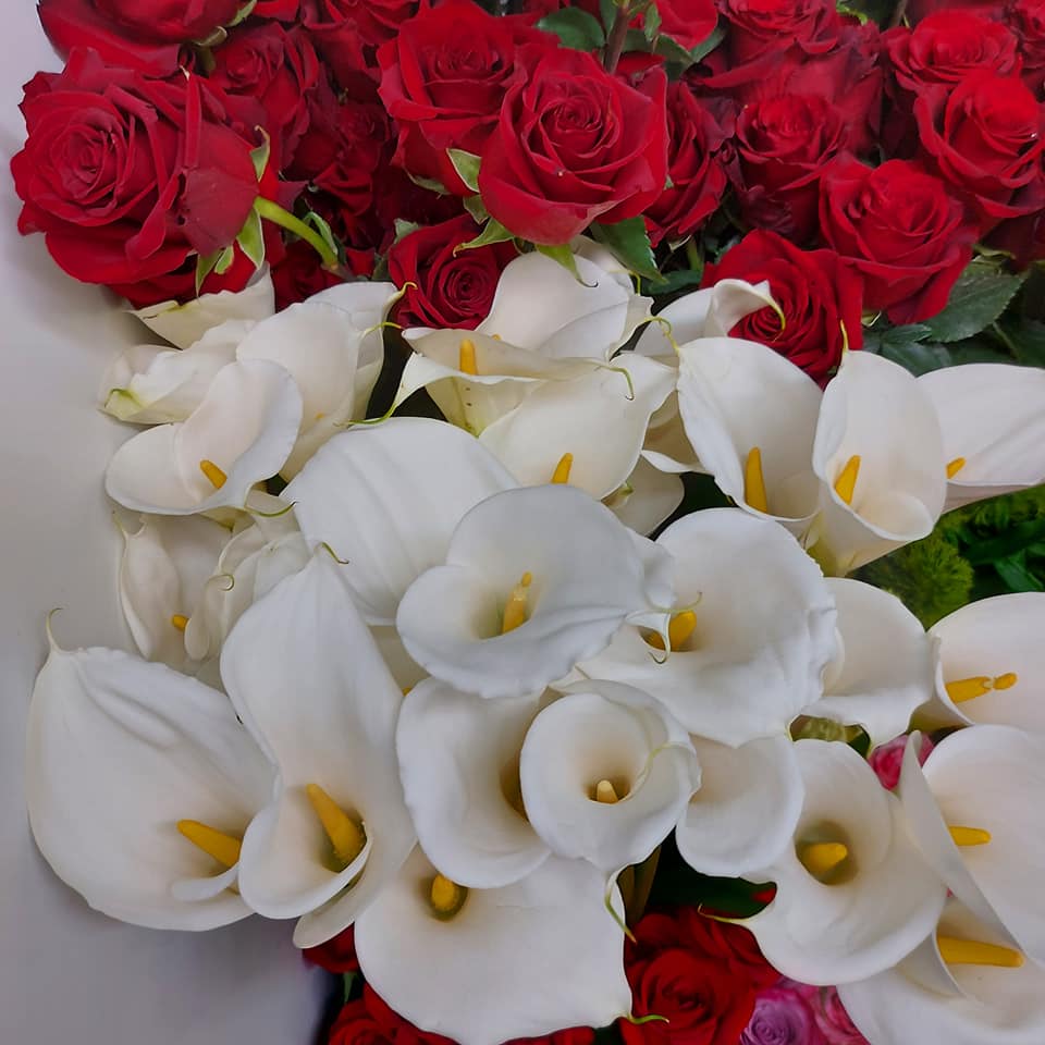 fiori freschi bianchi