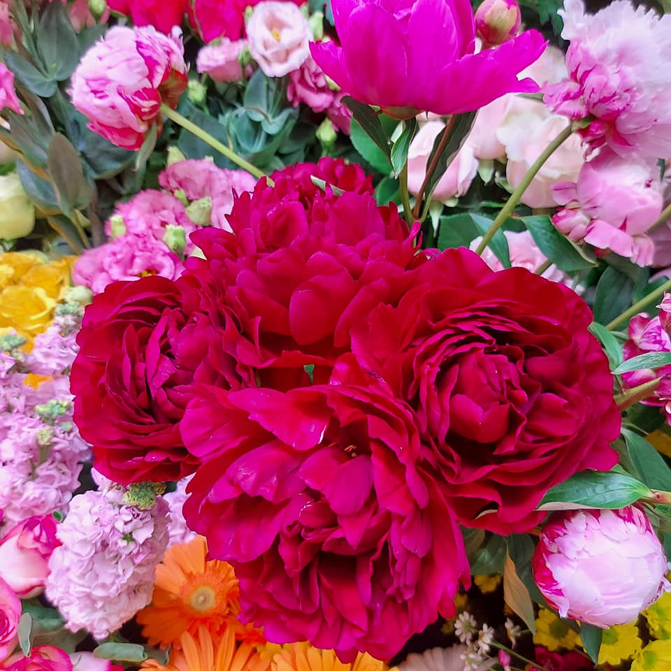 fiori freschi in vendita