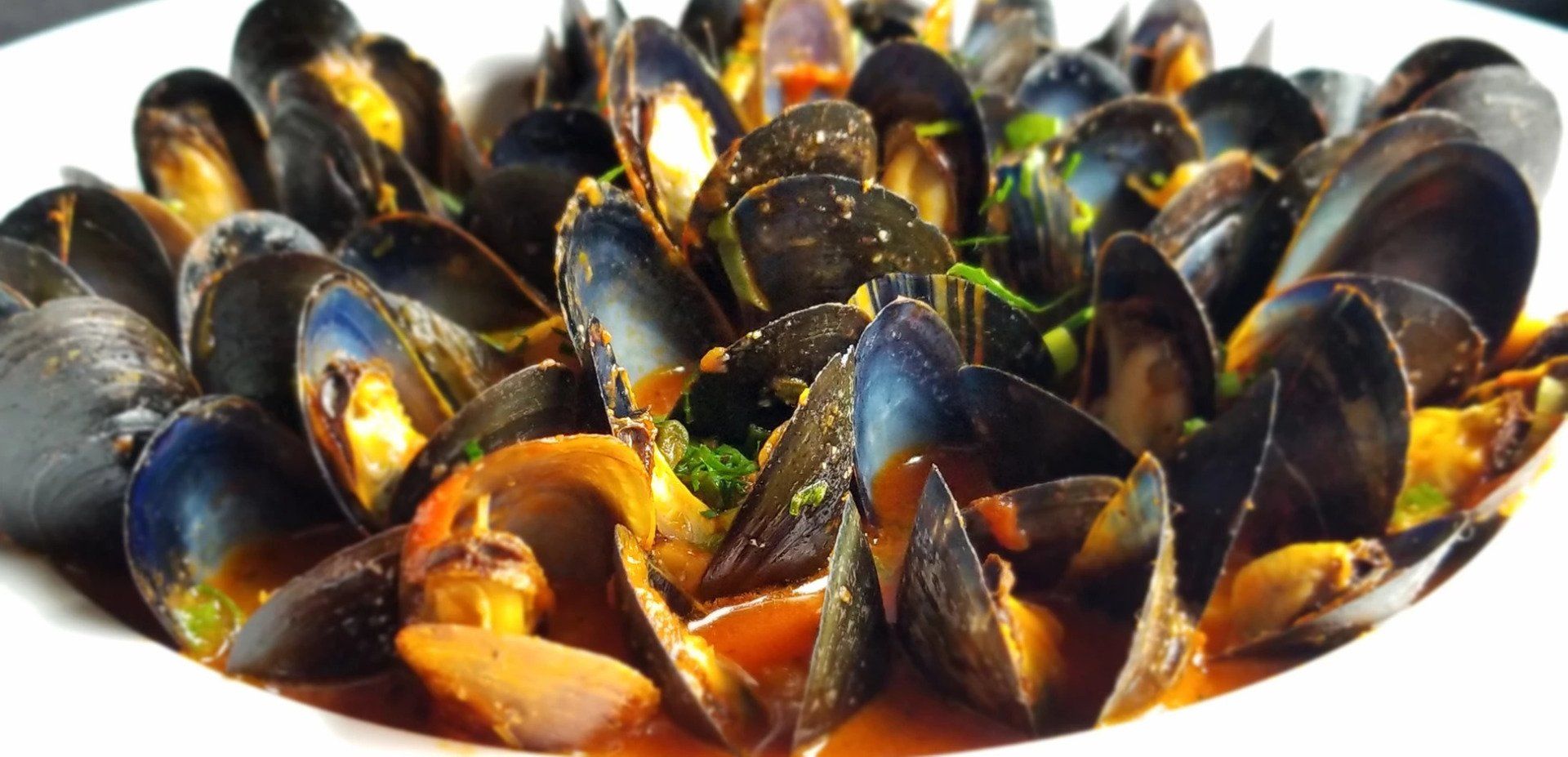A bowl of mussels in a sauce on a white plate.