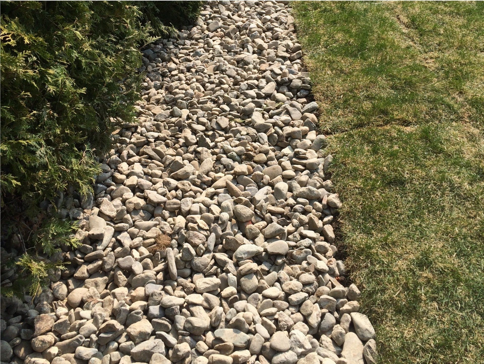 Un chemin de gravier traversant un champ verdoyant.