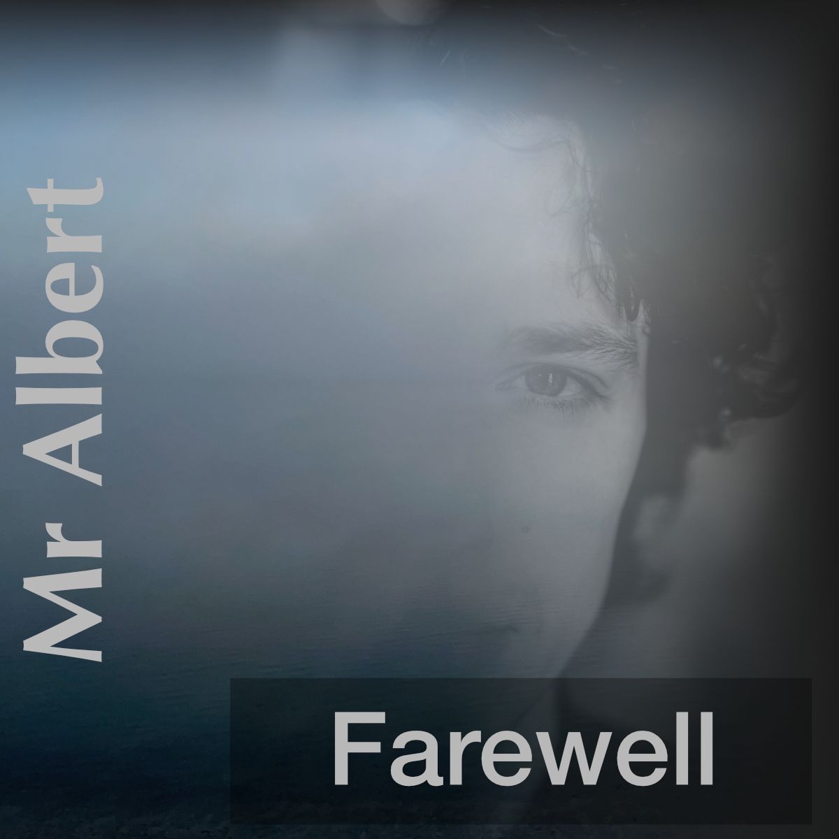 Song story Farewell