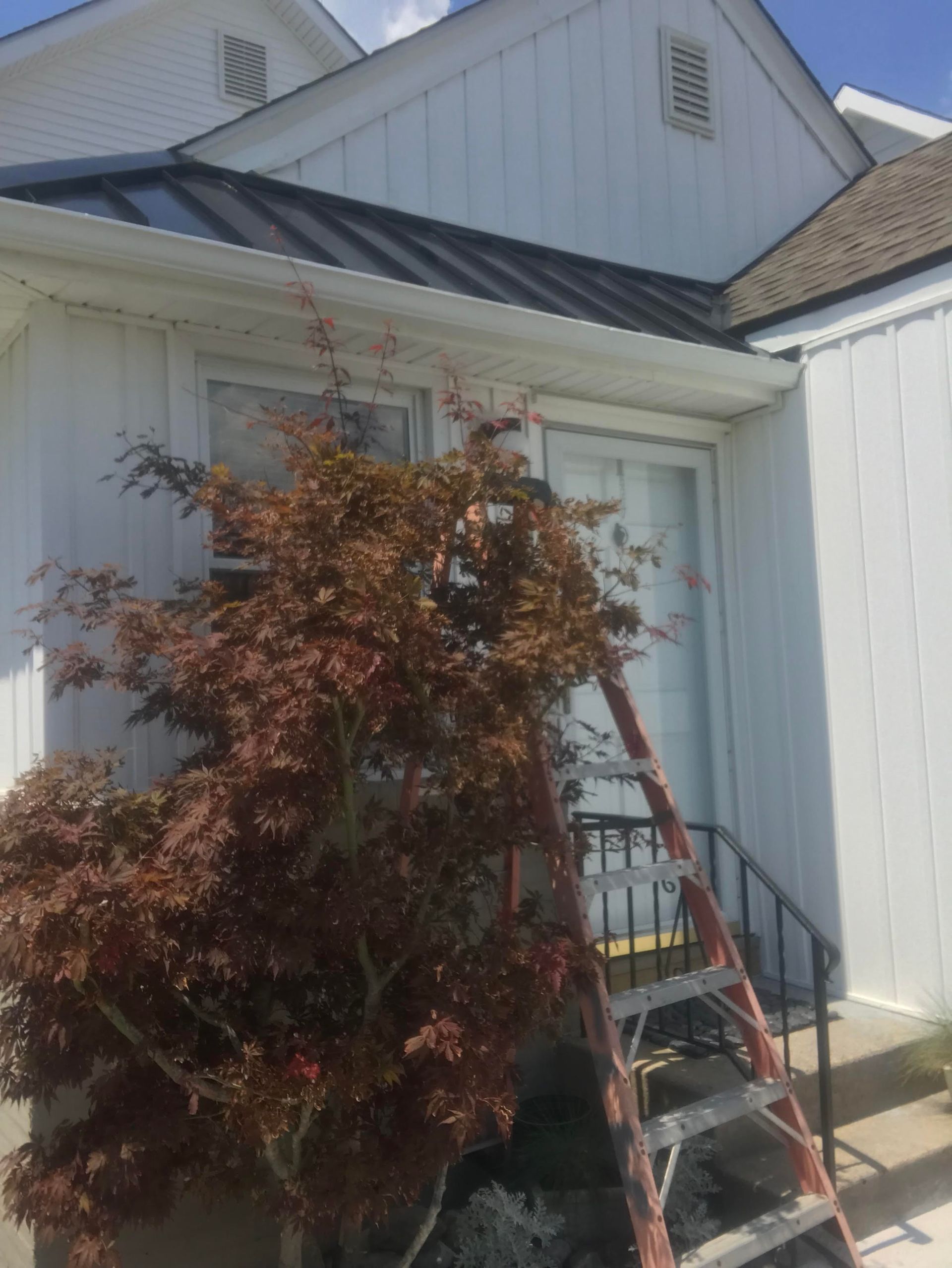 A white house with a red ladder in front of it