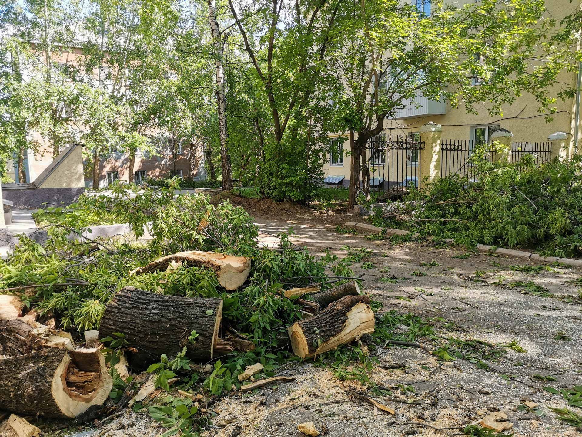 Storm-damaged yard with fallen tree trunks and branches scattered across gravel near apartment buildings