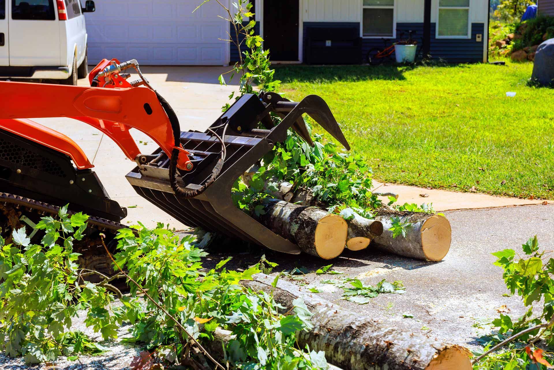 Orange excavator clearing cut tree branches from a sidewalk beside a lawn and driveway