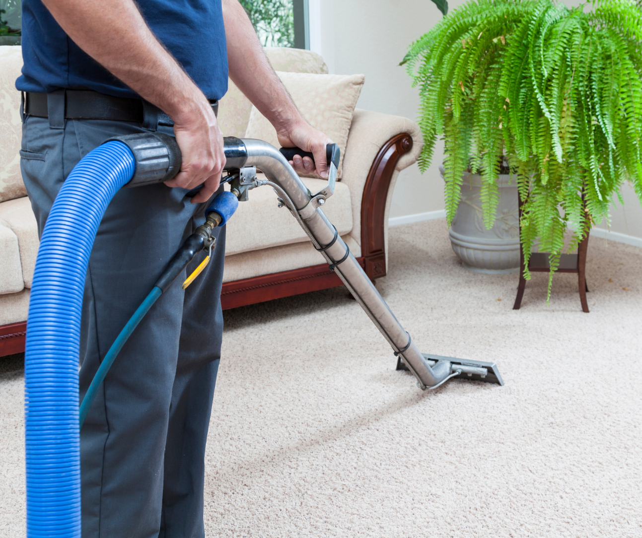 Person vacuuming beige carpet with a blue hose in a living room рядом with a couch and potted plant