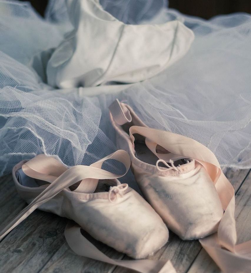 A pair of pointe shoes laying on top of a tulle skirt