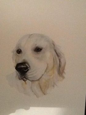 Yellow Labrador retriever smiling with tongue out, outdoors.