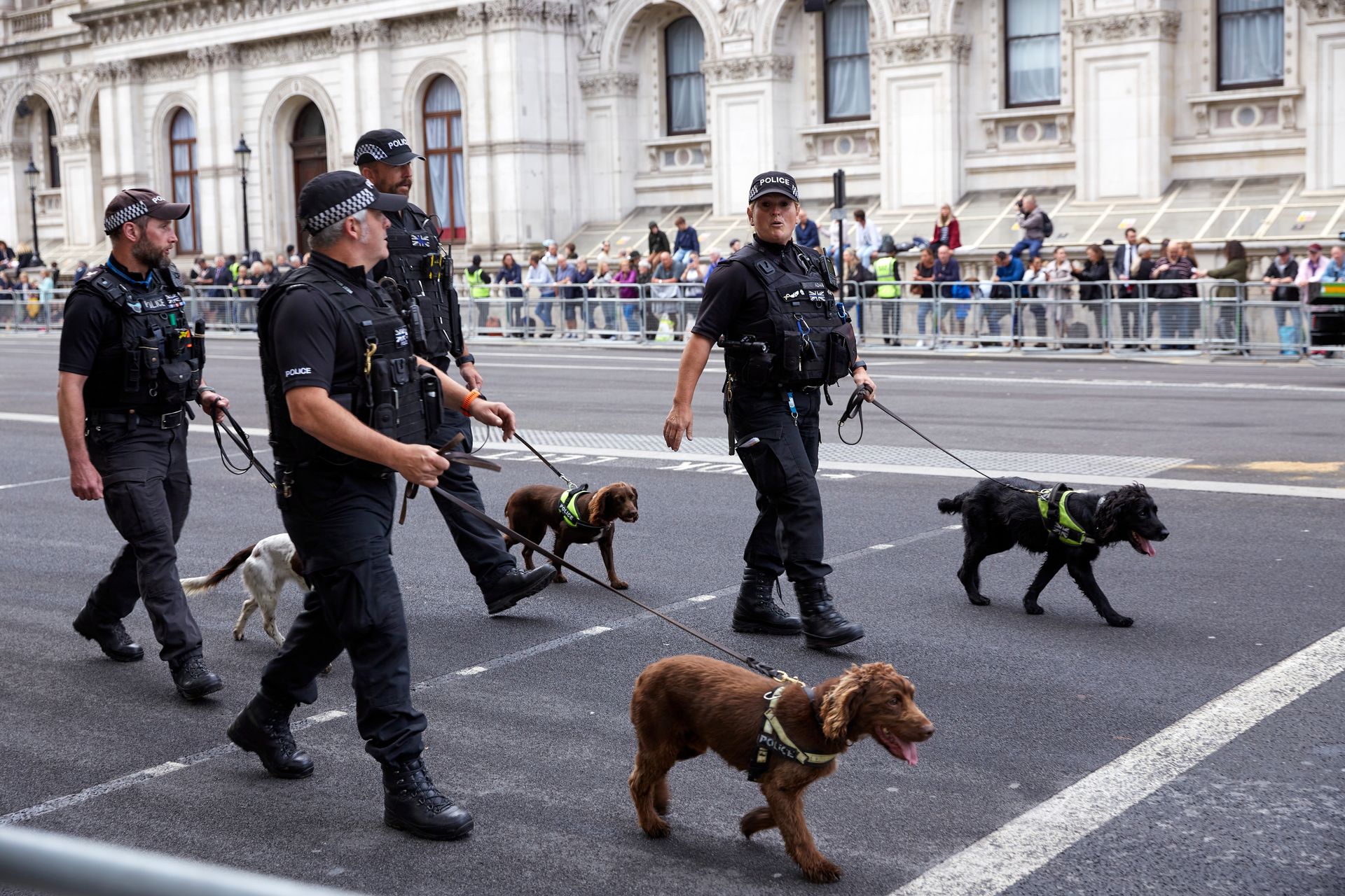 Police officers with dogs walk along a street. They wear black uniforms, and buildings and people are in the background.