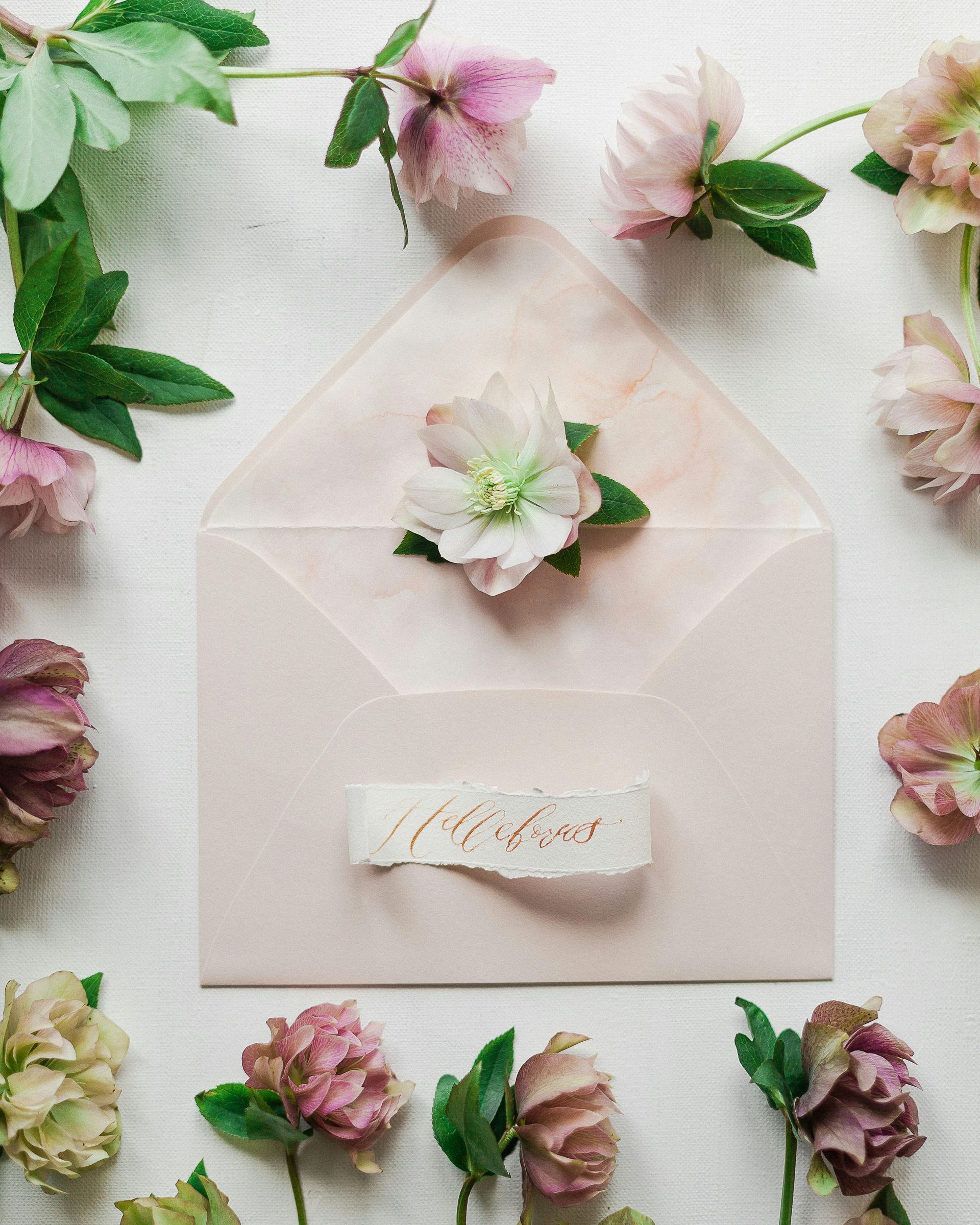 Pink envelope with a flower, surrounded by pink and green flowers on a white background.