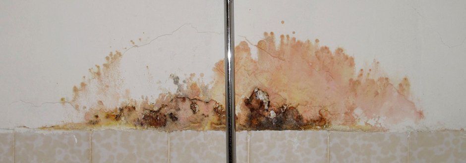 A Before and After Picture of a Wall With Mold on It