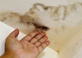 A Person 's Hand is Reaching for a Spot of Black Mold on a Wall