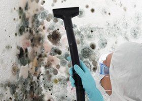 A Person is Cleaning a Wall With a Vacuum Cleaner